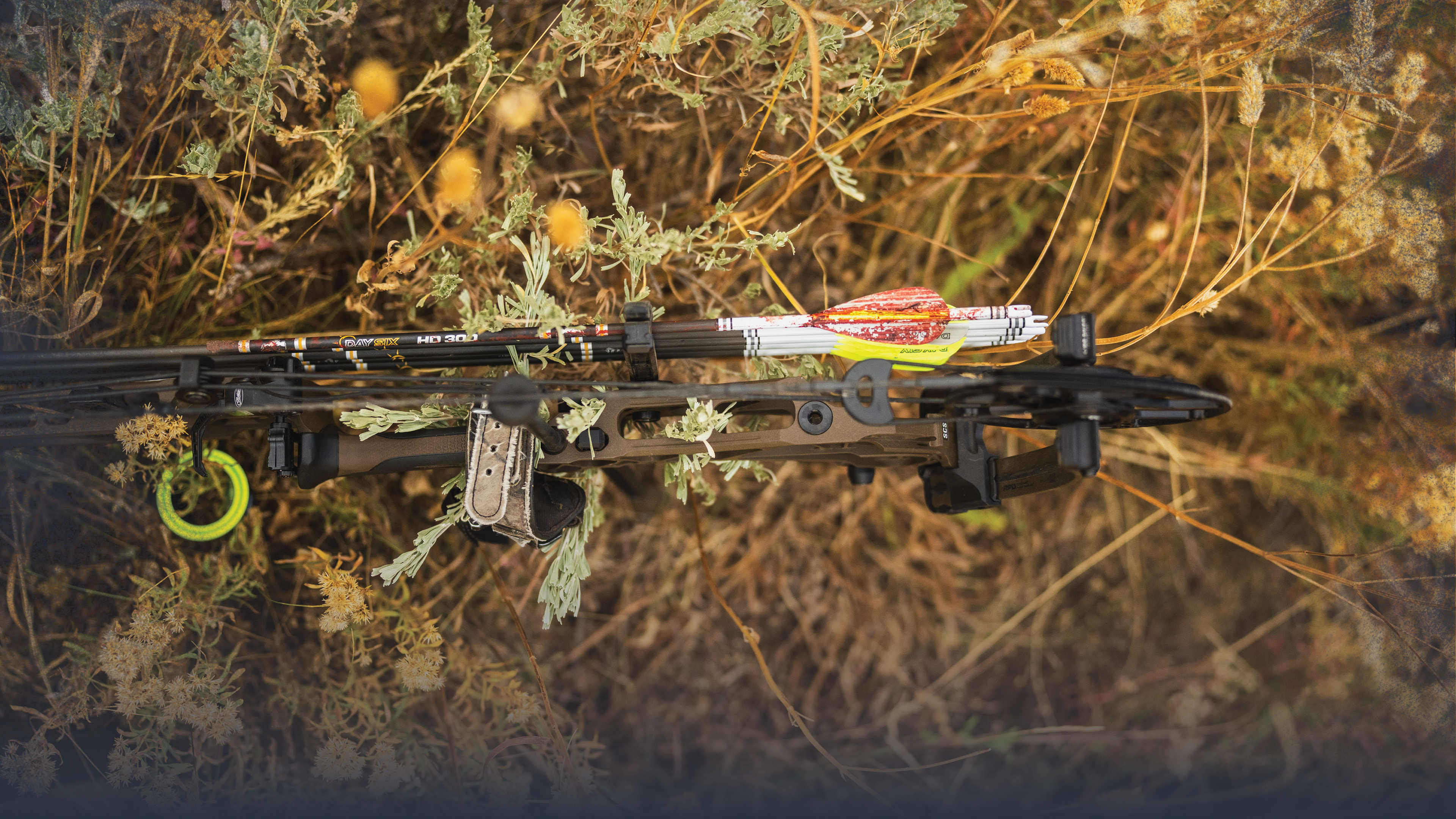 Making the Shot on Mule Deer