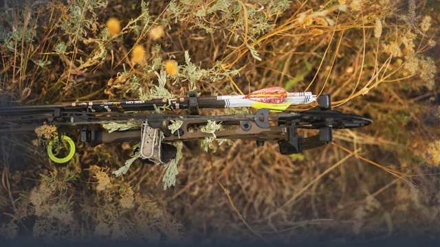Making the Shot on Mule Deer