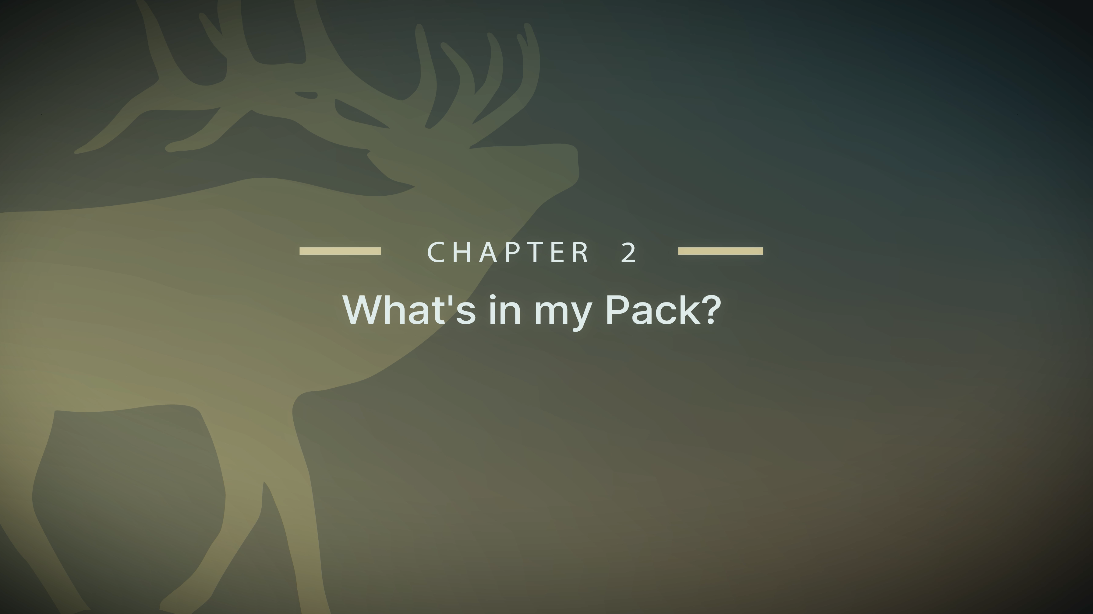 Module 4 - Chapter 2: What’s in my Pack