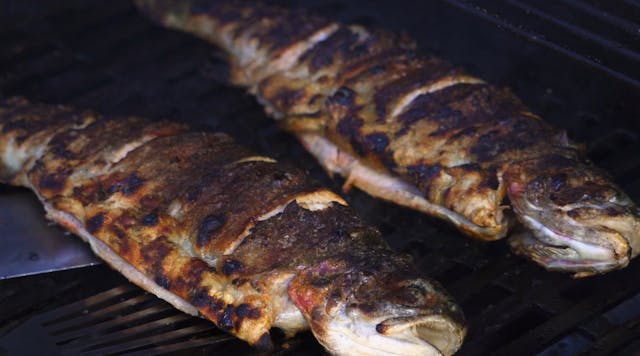 Chapter 9: Grilling Fish