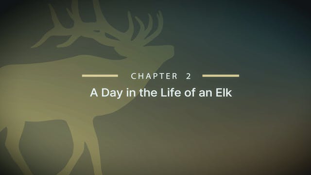 Module 6 - Chapter 2: A Day in the Li...