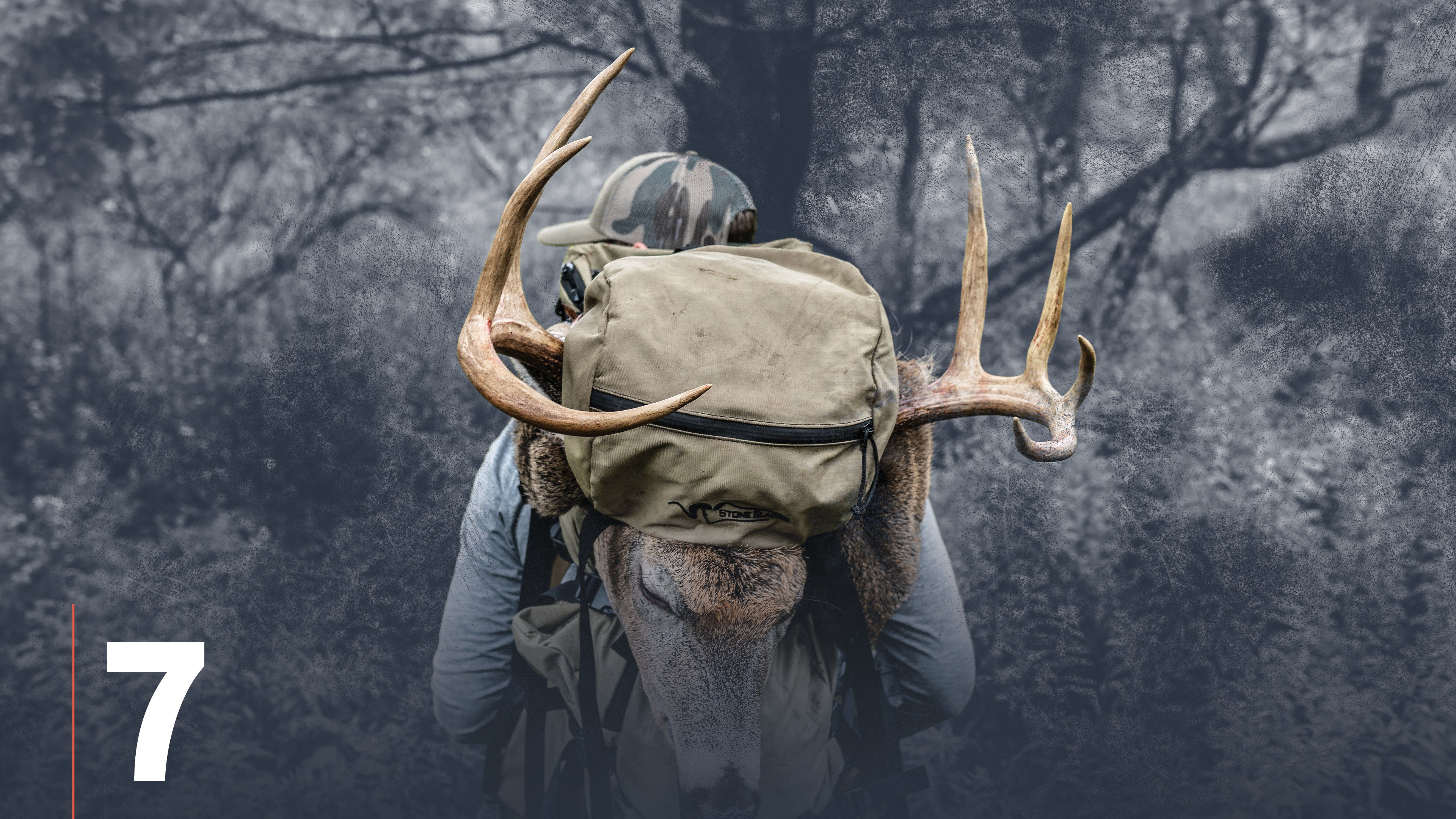 In-Season Scouting for Whitetail Deer