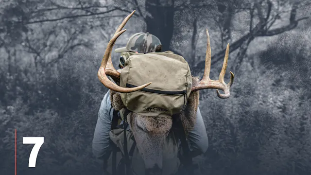 In-Season Scouting for Whitetail Deer