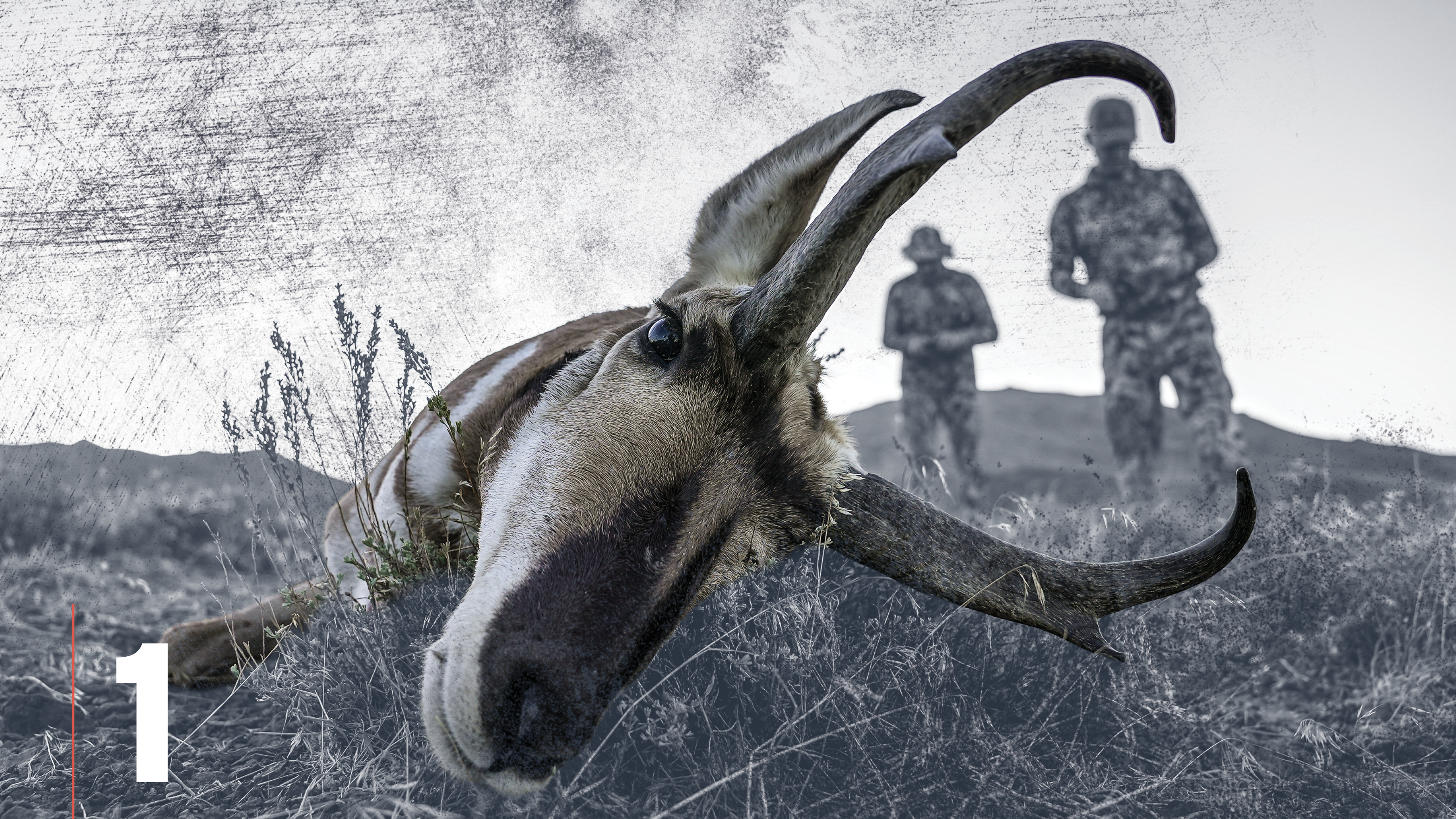 Introduction to Pronghorn Antelope Hunting
