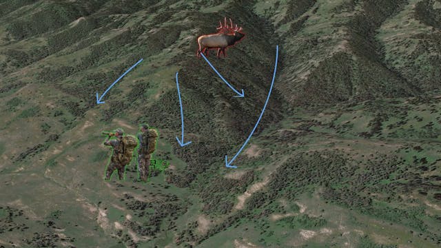 Intro to Module 6 - Elk Hunting Knowl...