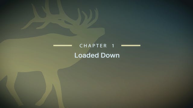 Module 14 - Chapter 1: Loaded Down