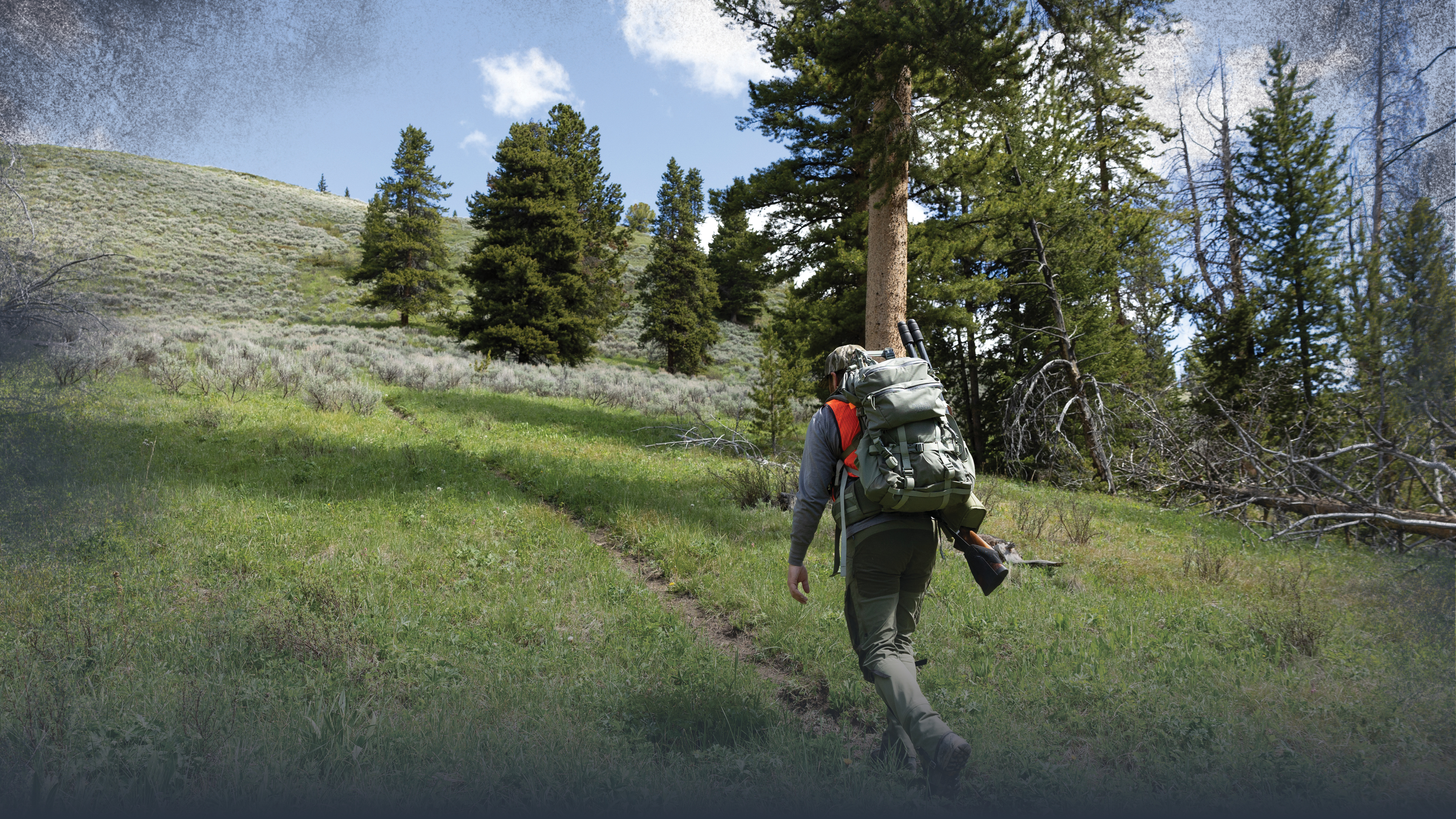 Safety in Bear Country