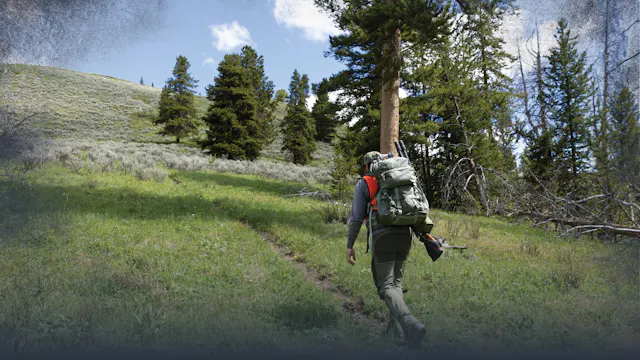 Safety in Bear Country
