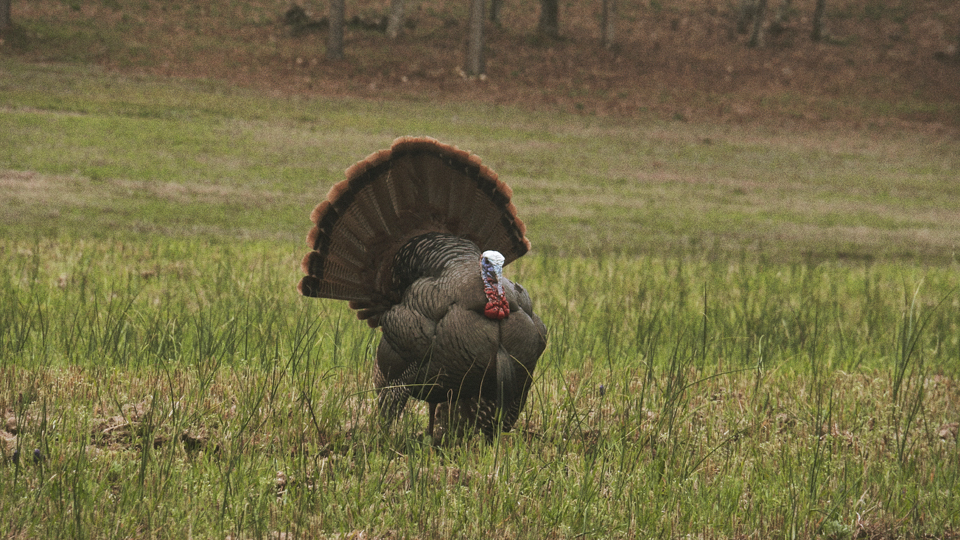 Chapter 6: Closing Thoughts