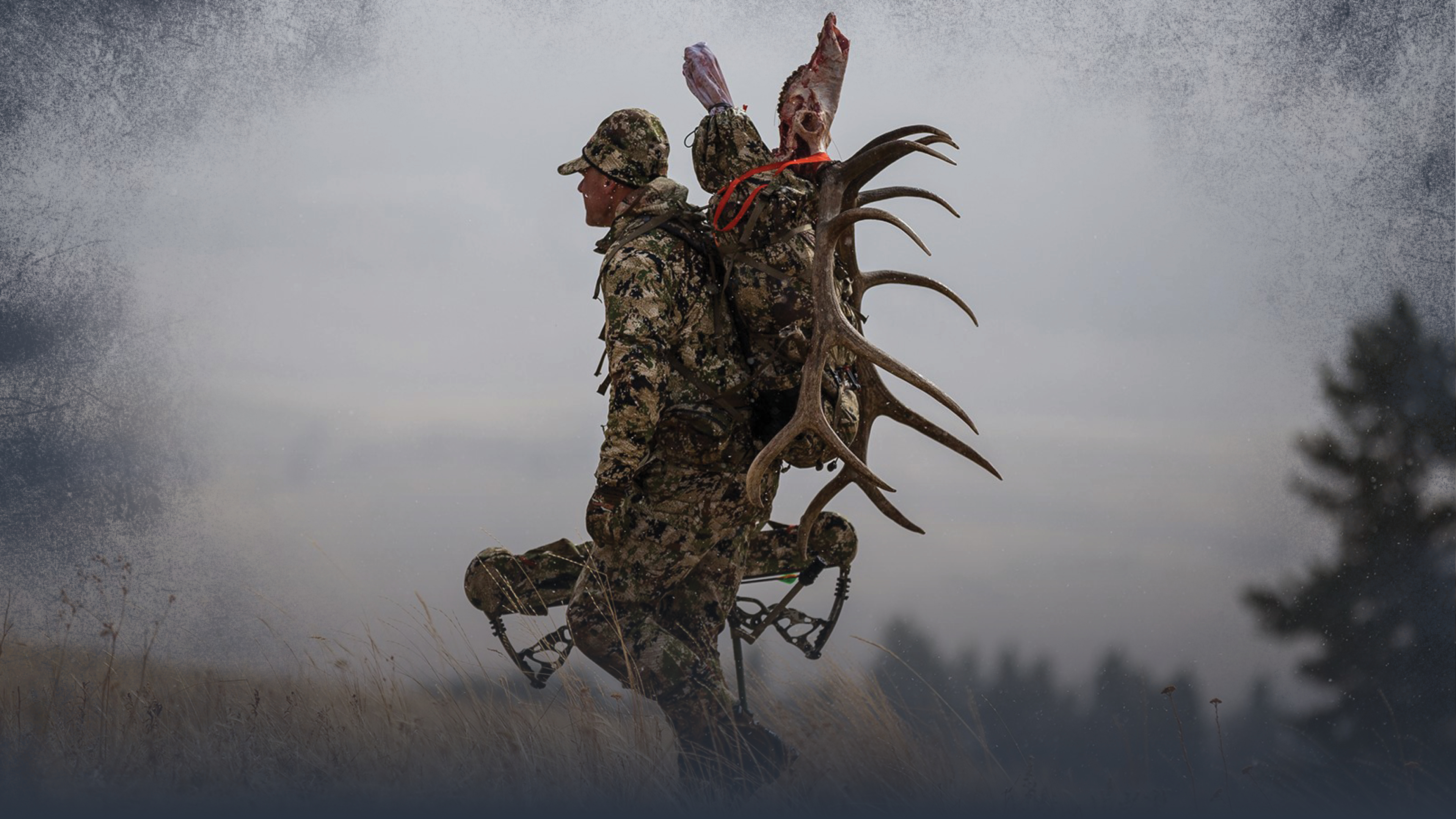 1: Weather & Migratory Elk