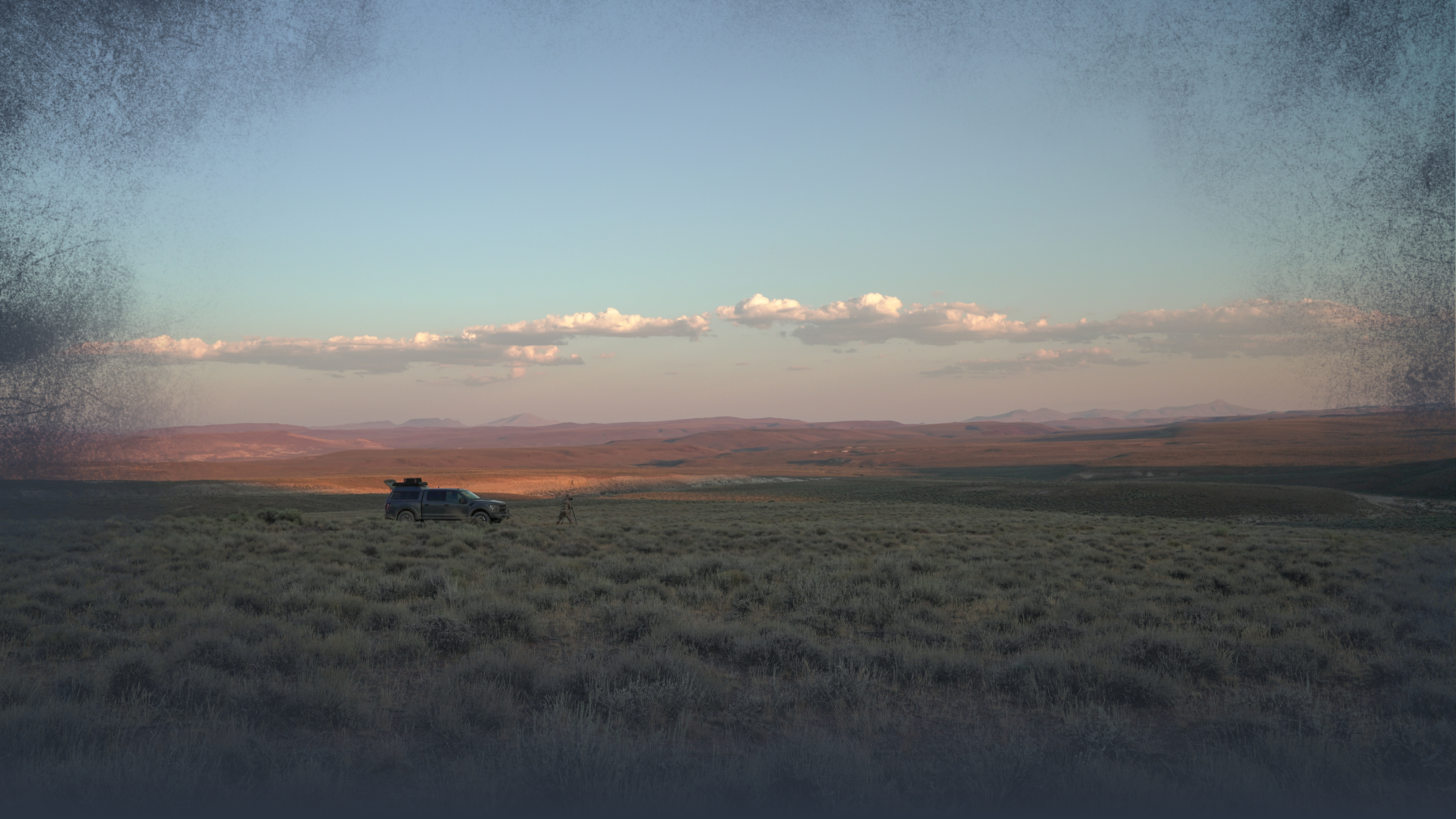 Pronghorn Antelope Landscapes