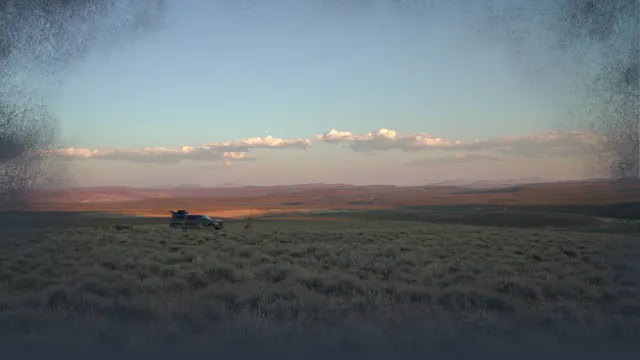 Pronghorn Antelope Landscapes