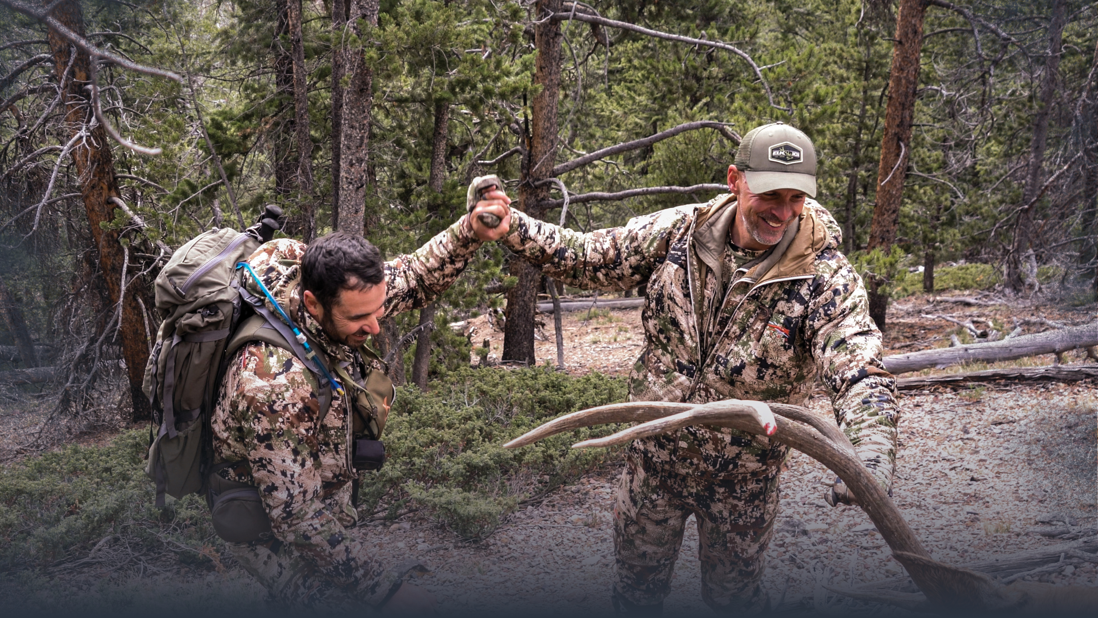 Calling Elk Top Ten Things to Remember