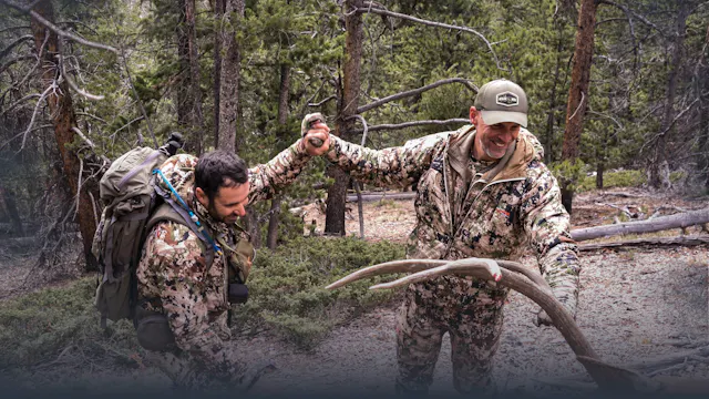 Calling Elk Top Ten Things to Remember