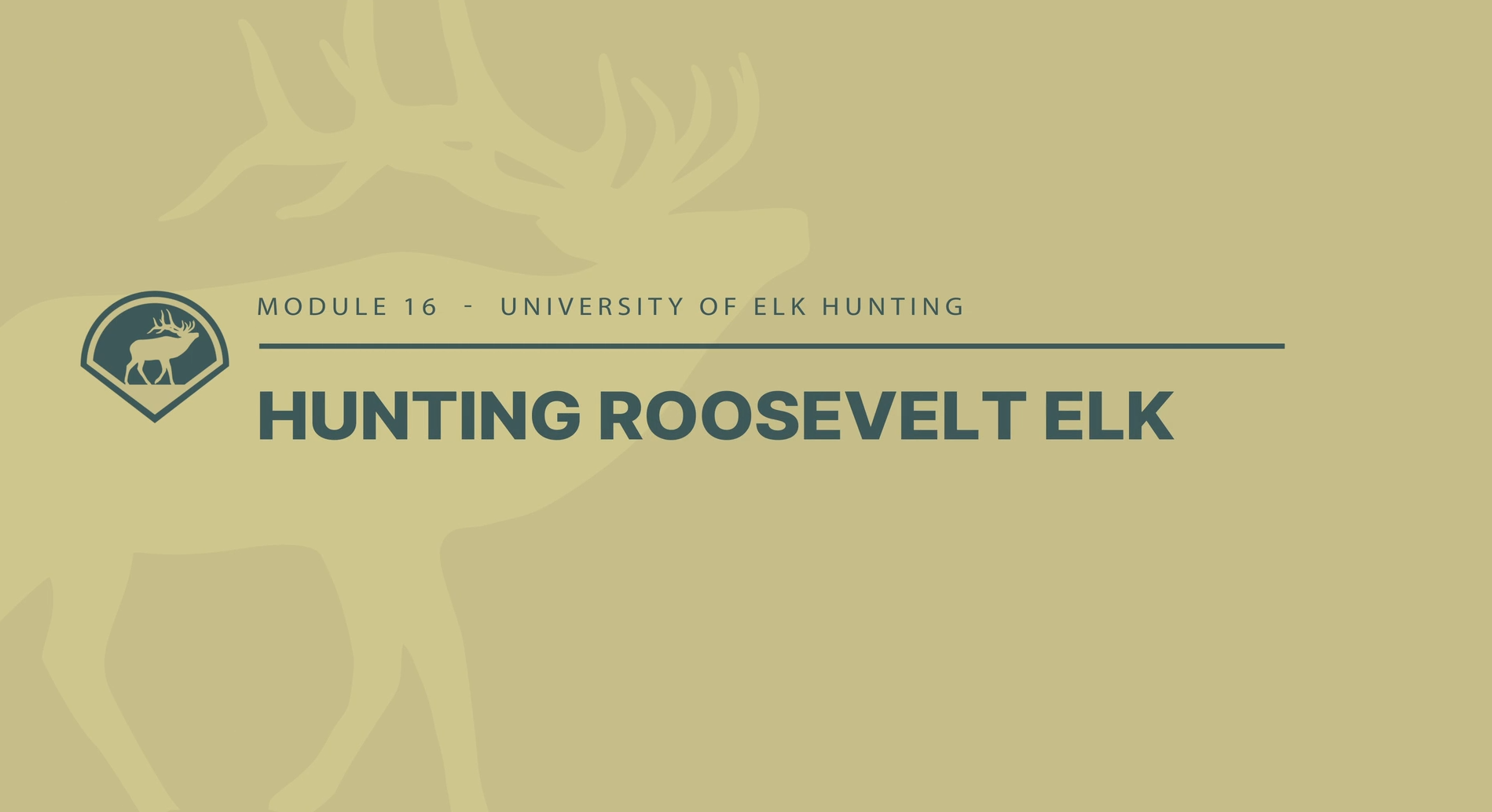 Module 16 - Introduction to Hunting Roosevelt Elk