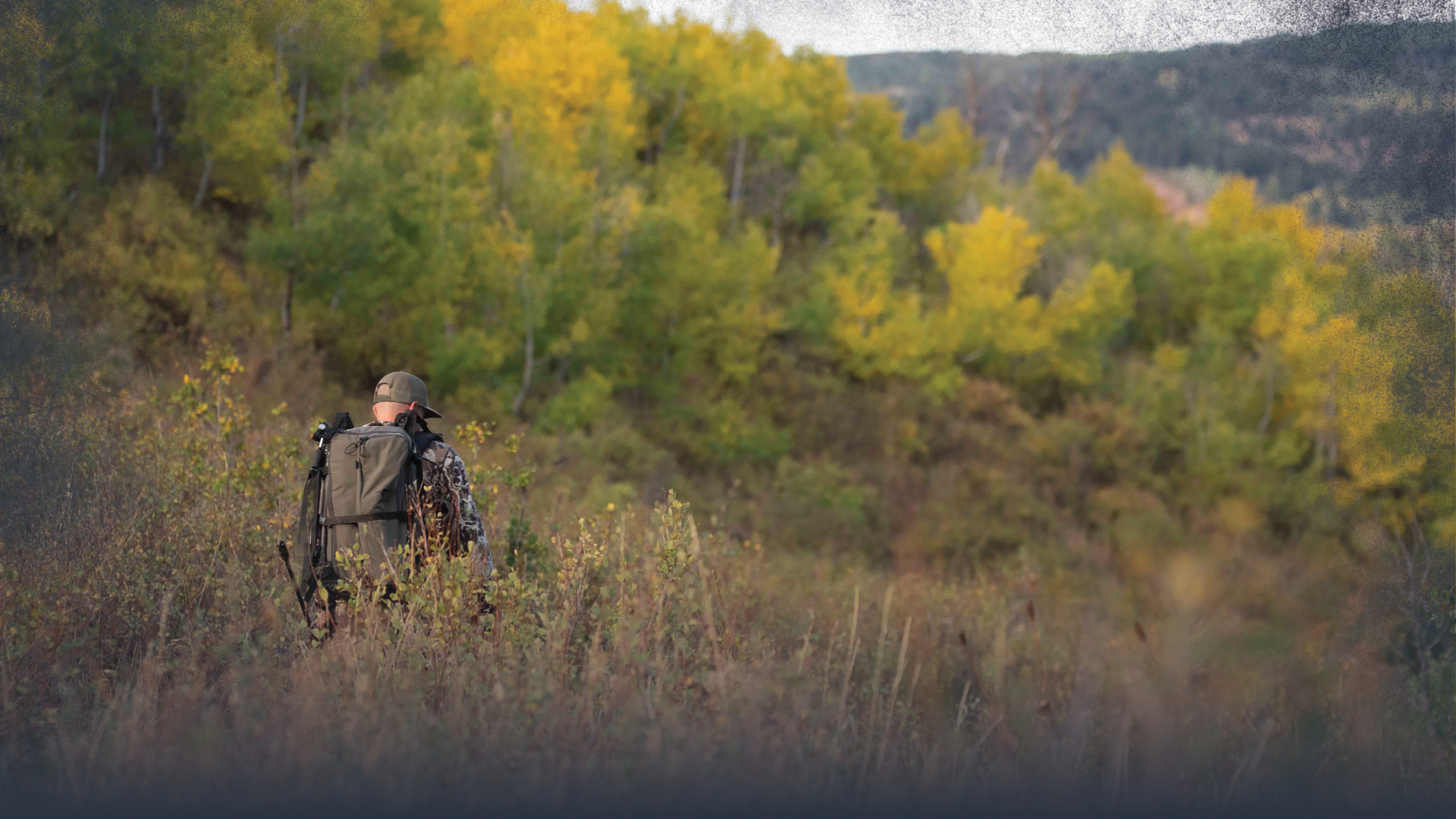 Top Seven High Percentage Mule Deer Stalks