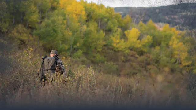 Top Seven High Percentage Mule Deer S...