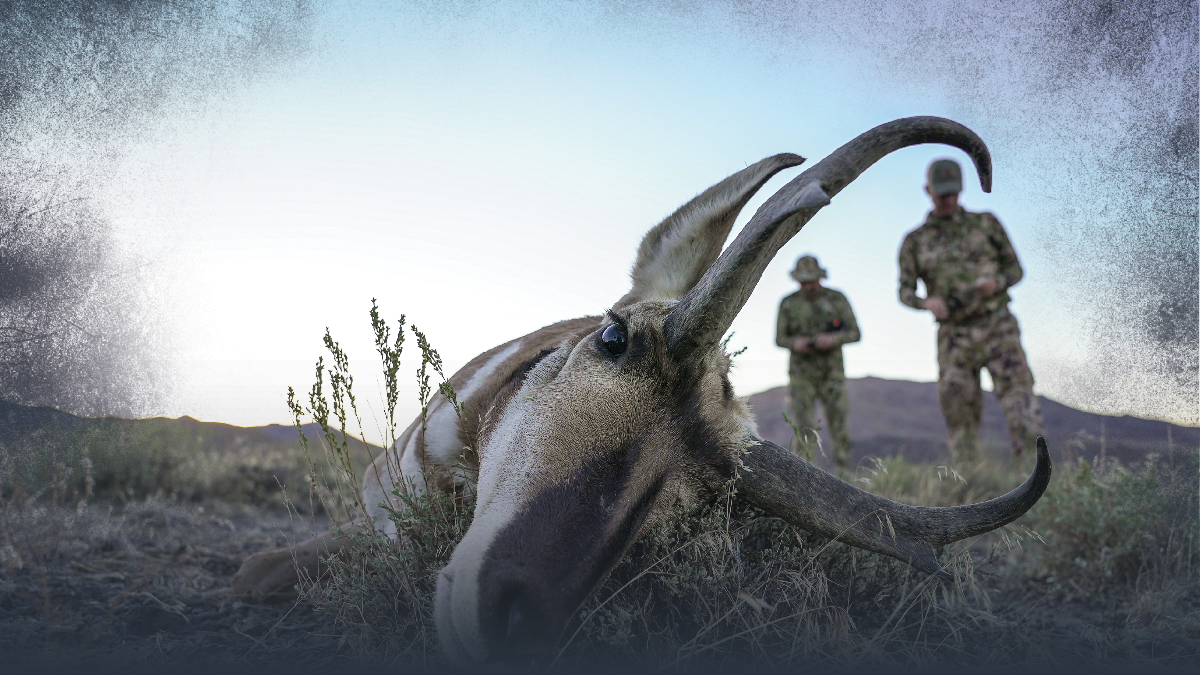 Top Ten Pronghorn Antelope Hunting Tips