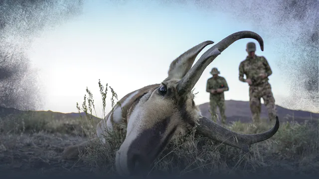 Top Ten Pronghorn Antelope Hunting Tips