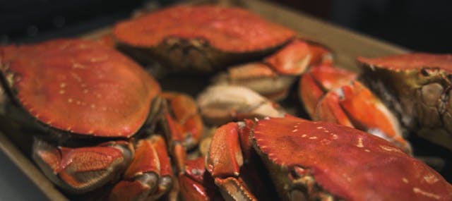 Chapter 8: Cracking a Crab