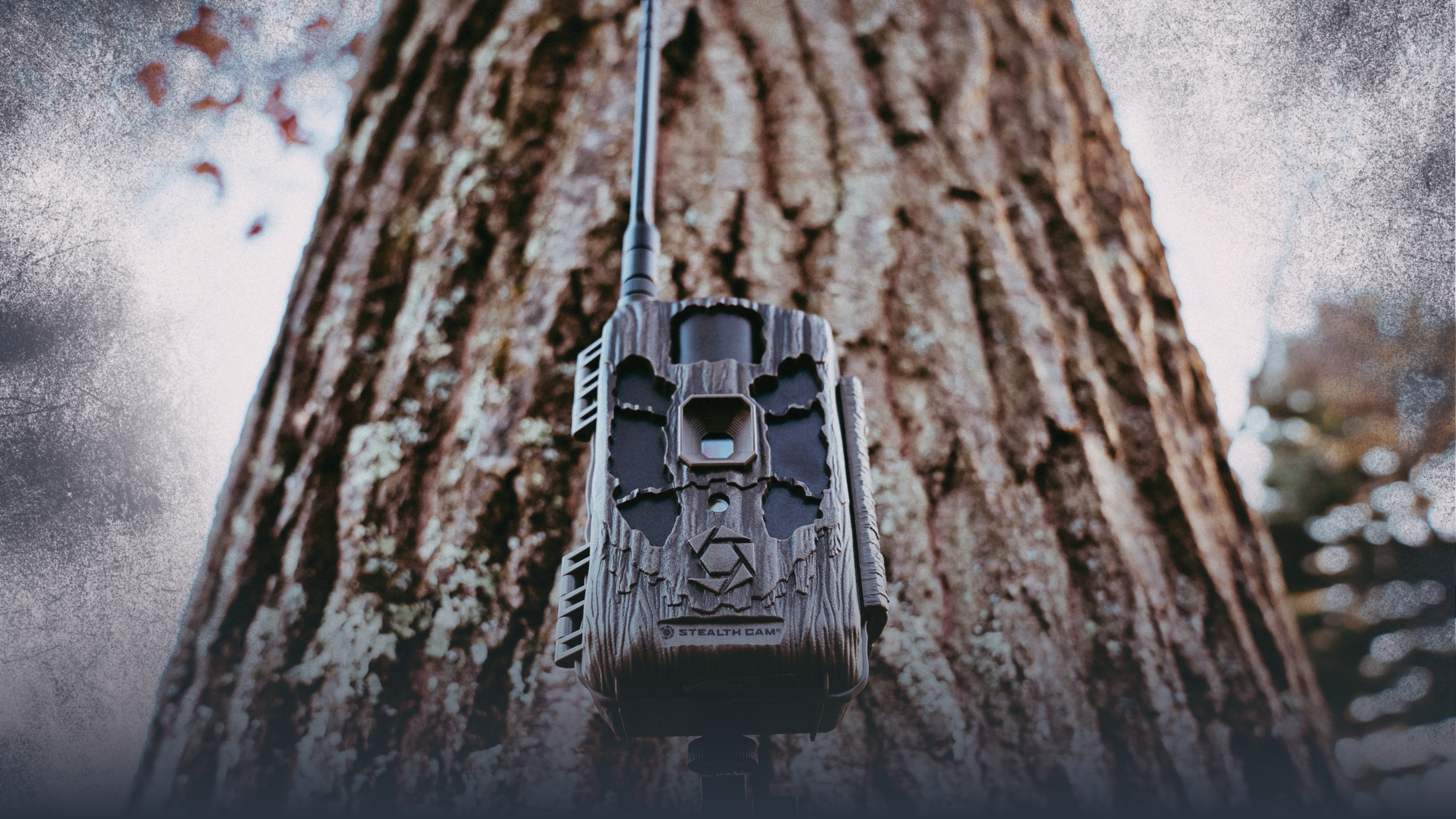 Using Trail Cameras to Find & Pattern Whitetail Deer