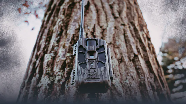 Using Trail Cameras to Find & Pattern...