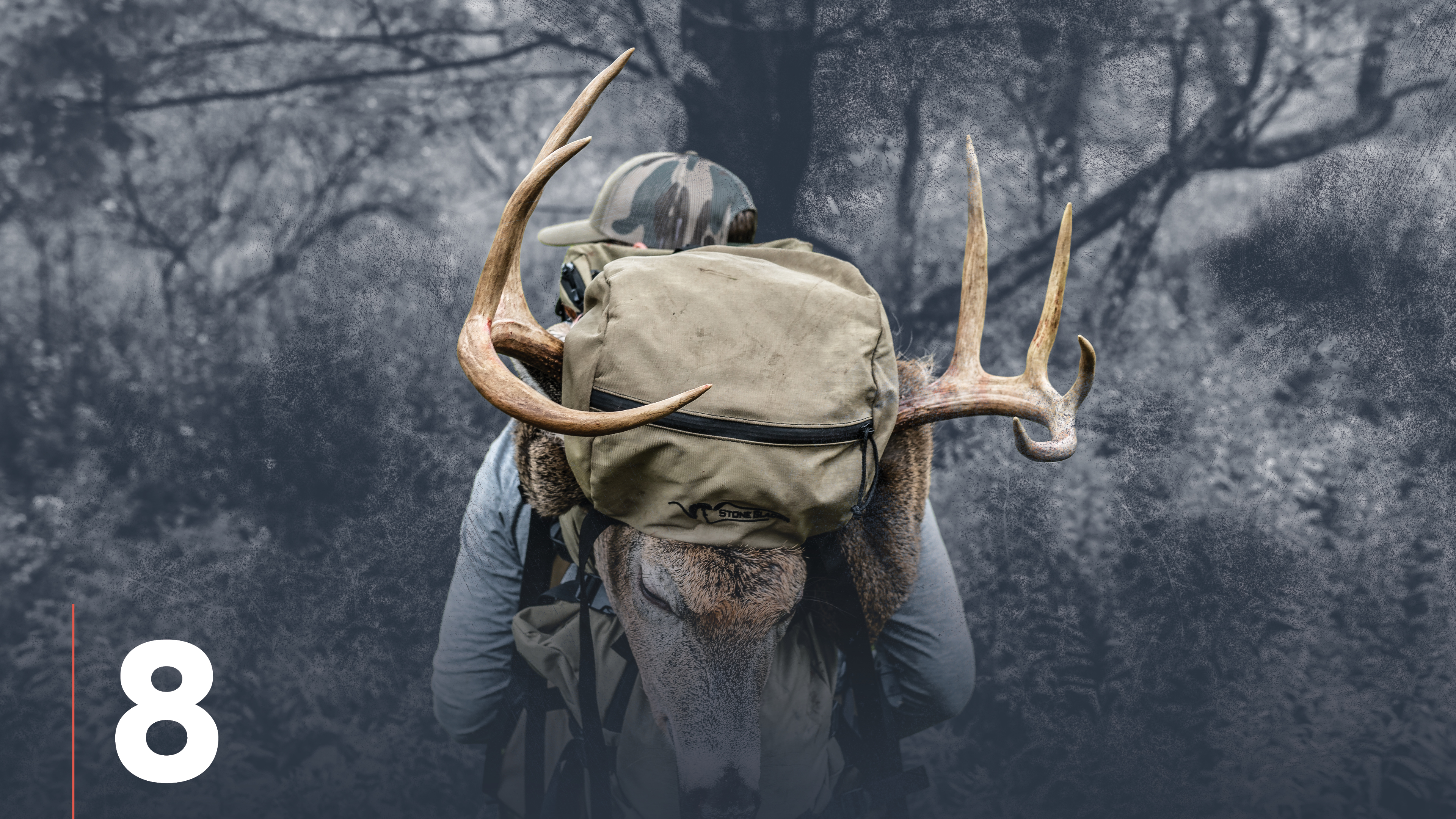 Spring Scouting for Whitetail Deer