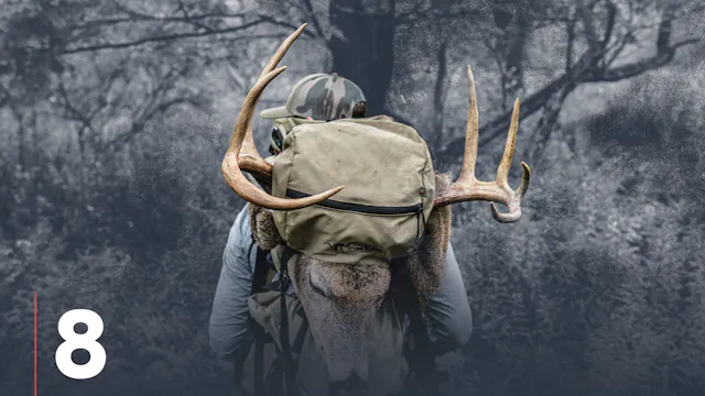 Spring Scouting for Whitetail Deer