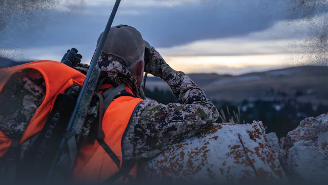 Rifle Tactics for Cow Elk