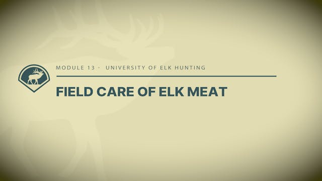 Module 13 - Introduction to Field Car...