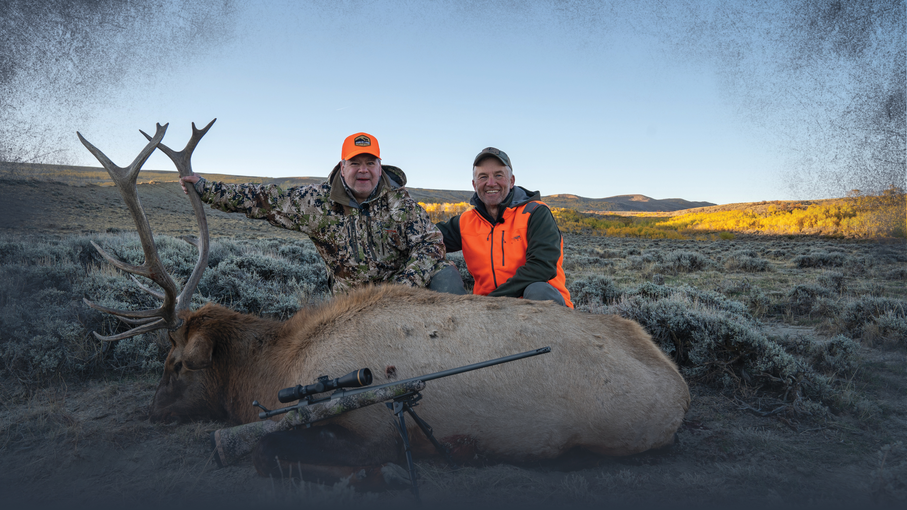 Migratory vs Non-Migratory Elk