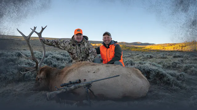 Migratory vs Non-Migratory Elk