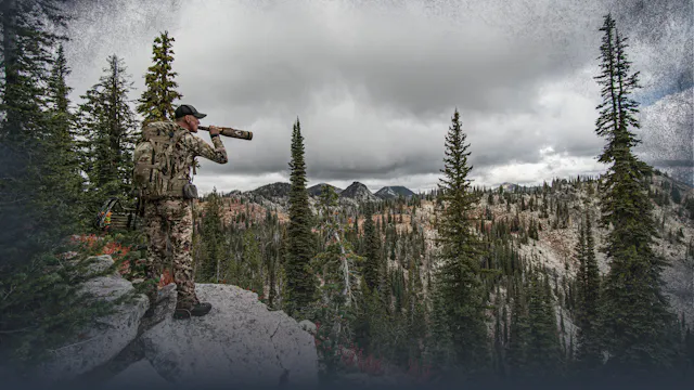 Locating Elk: Using Calls