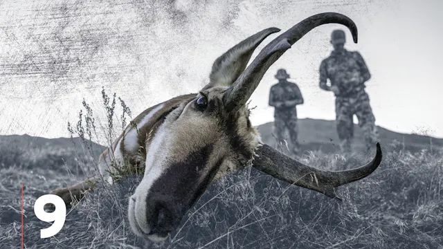 Rifle Pronghorn Antelope Hunting