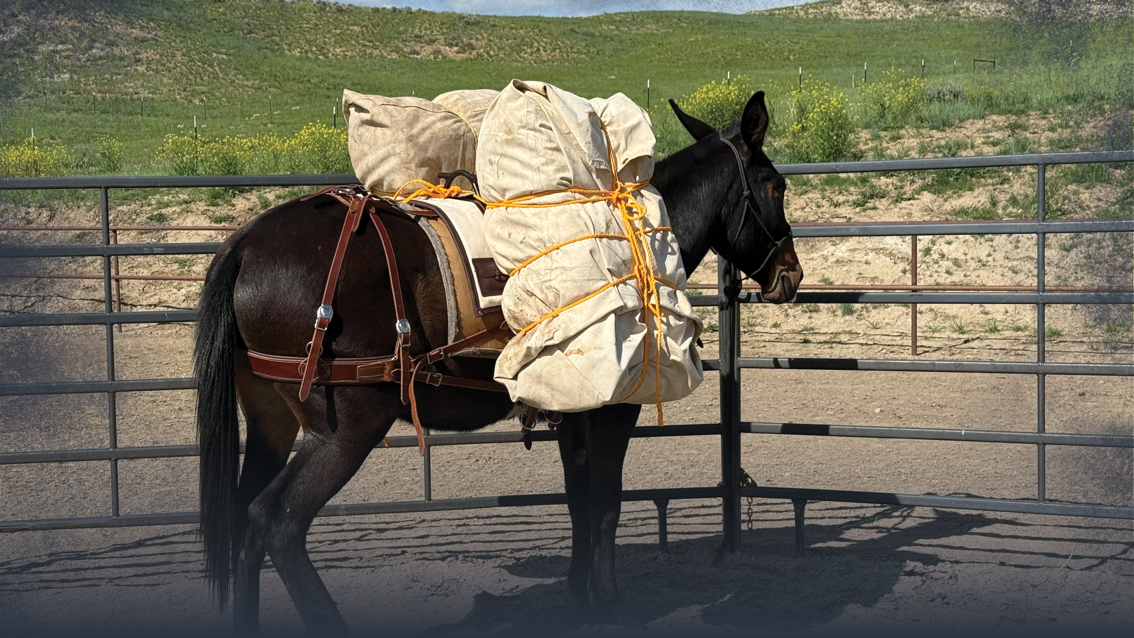 3: Introduction to Packing