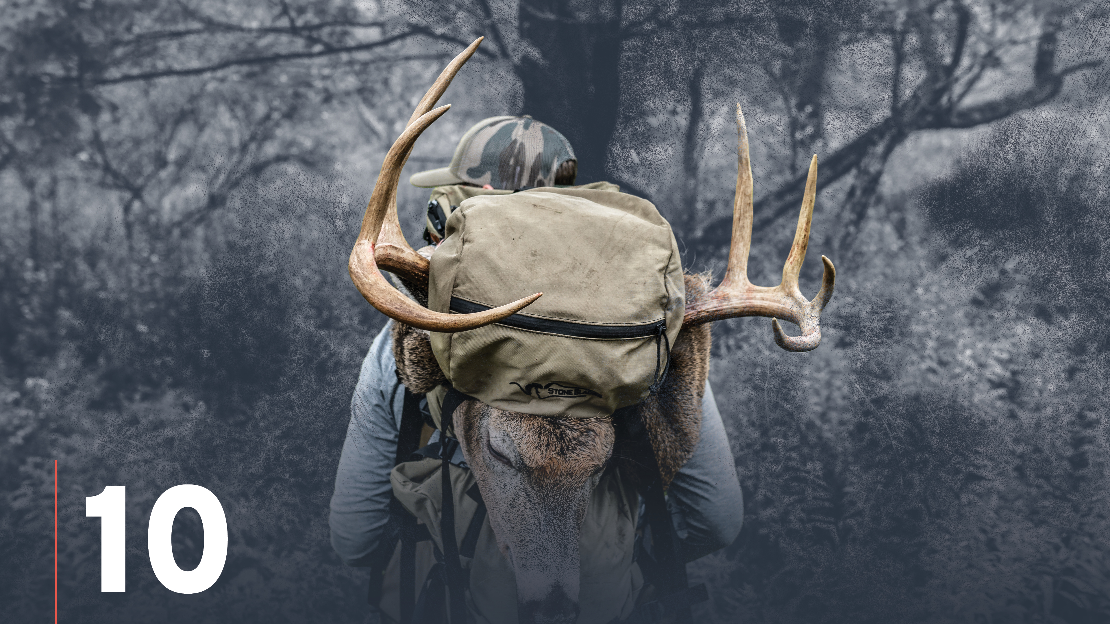 Using Trail Cameras to Find & Pattern Whitetail Deer