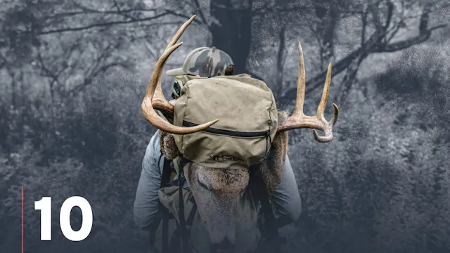 Using Trail Cameras to Find & Pattern...
