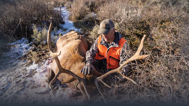 Rifle Elk Hunting Top Ten Things to R...