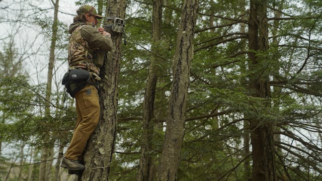 Ch. 10 - Using Trail Cameras to Find ...