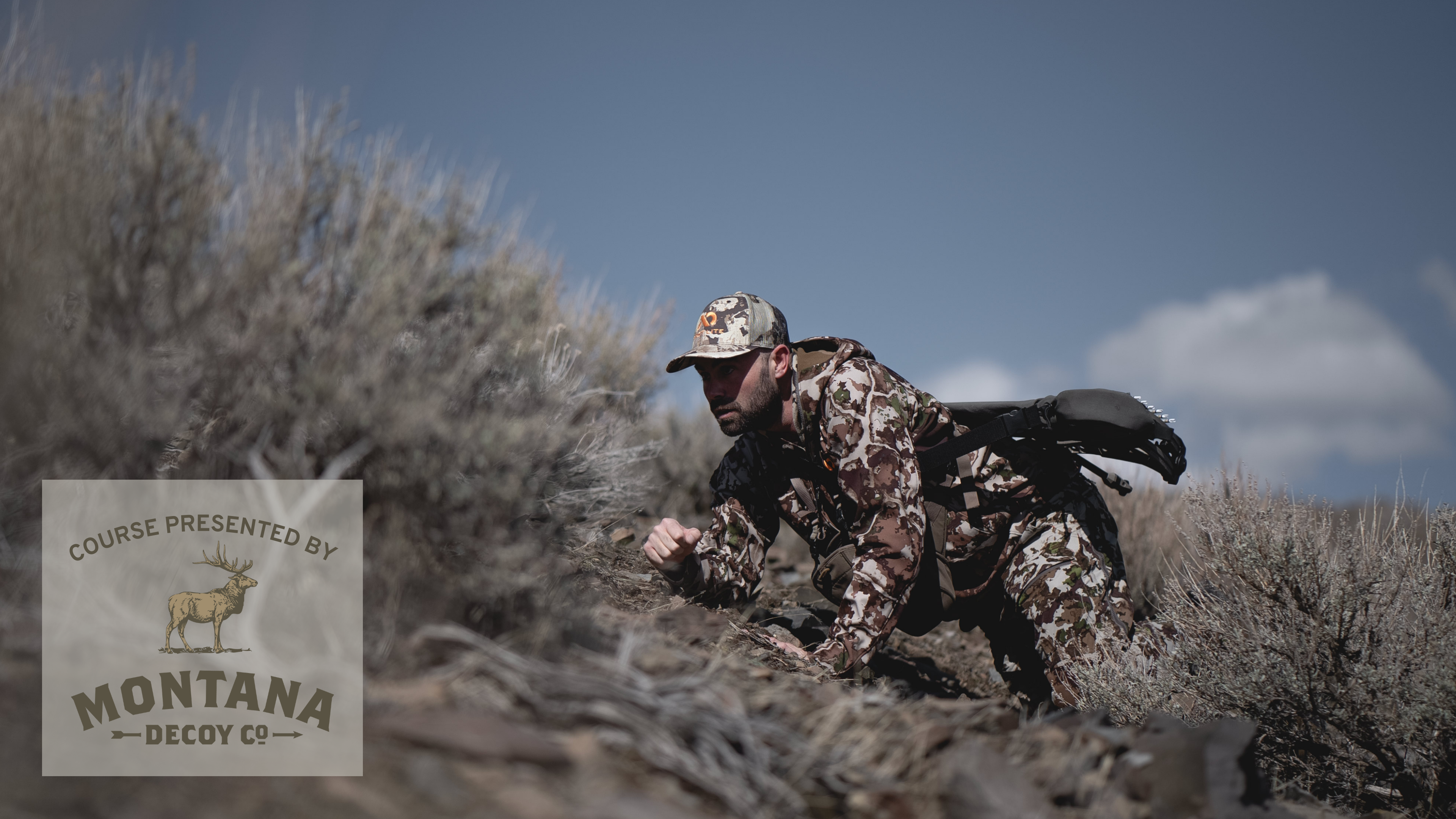 Stalking Mule Deer With a Bow, Presented By Montana Decoy