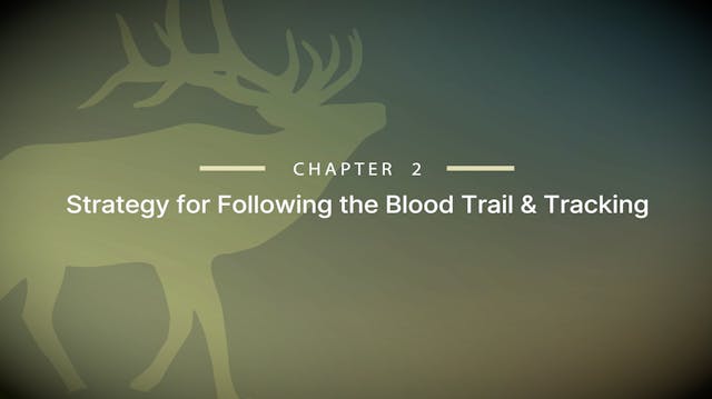 Module 12 - Chapter 2: Strategy for T...