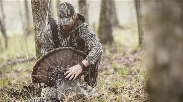 Chapter 5: Is Roosted, Roasted?