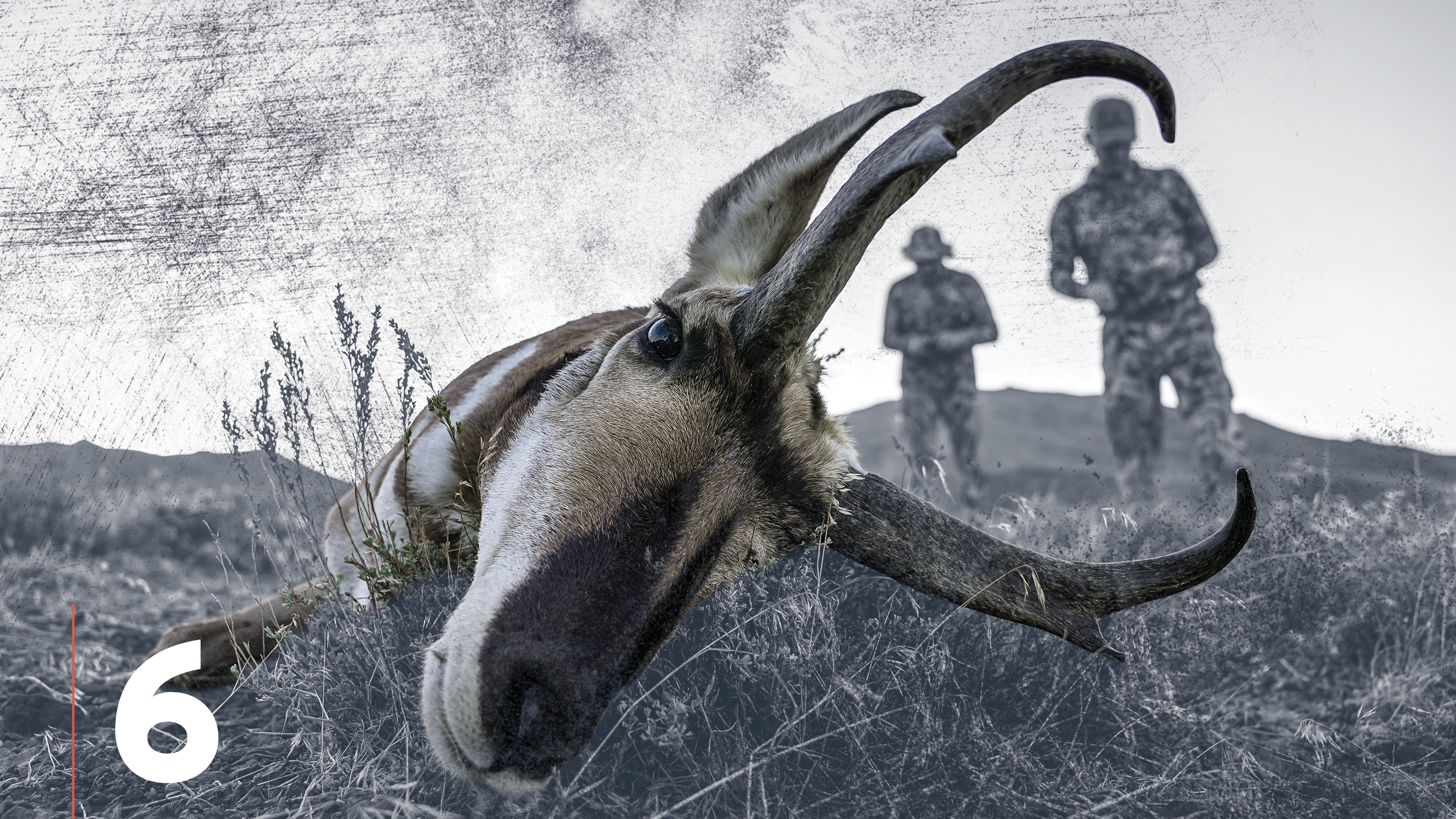 Scouting as a Hunting Necessity