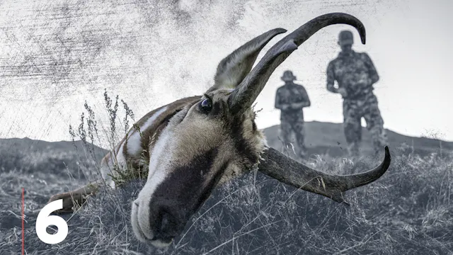Scouting as a Hunting Necessity