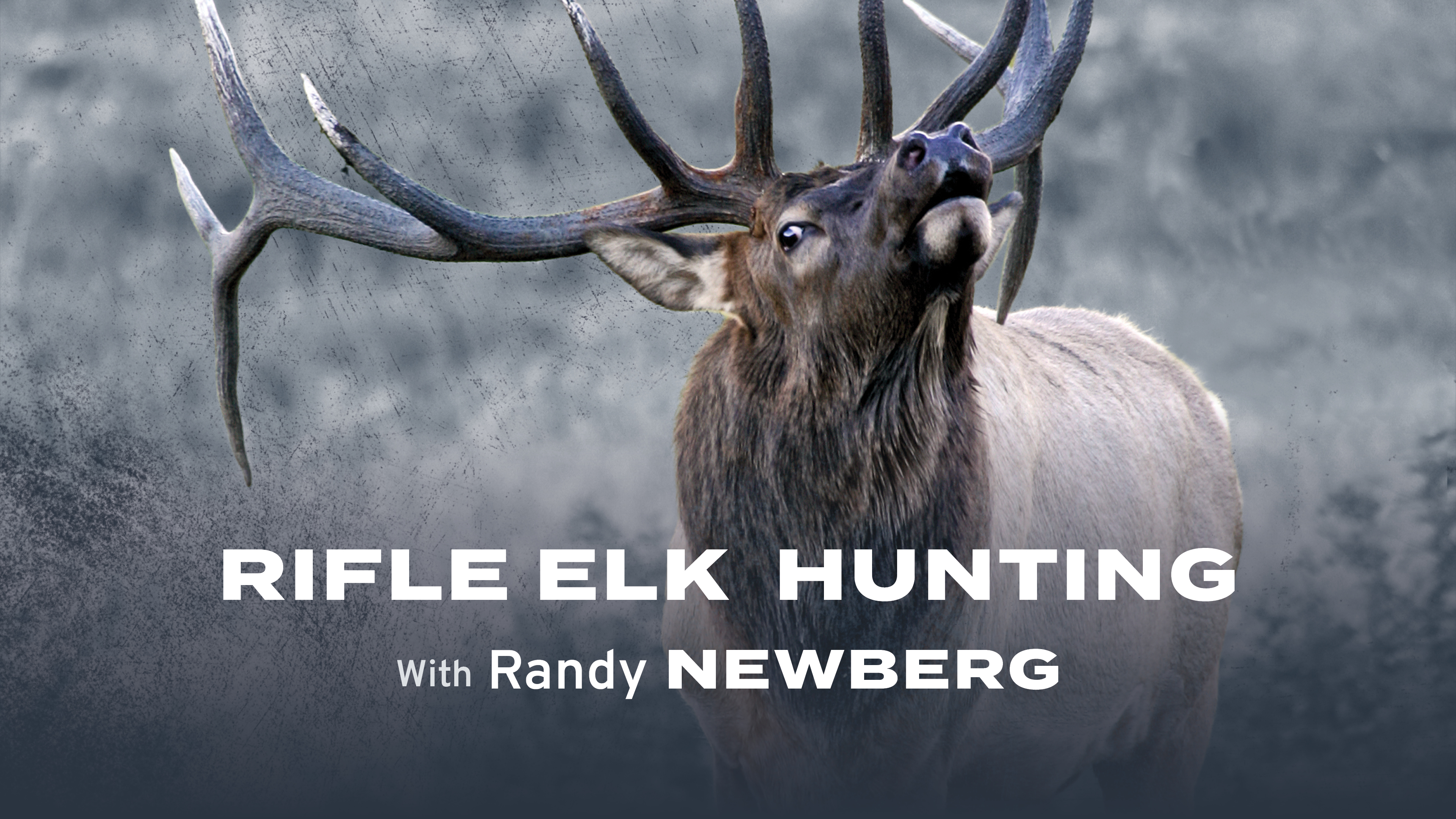 Rifle Elk Hunting with Randy Newberg