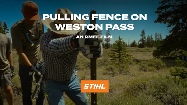Pulling Fence on Weston Pass