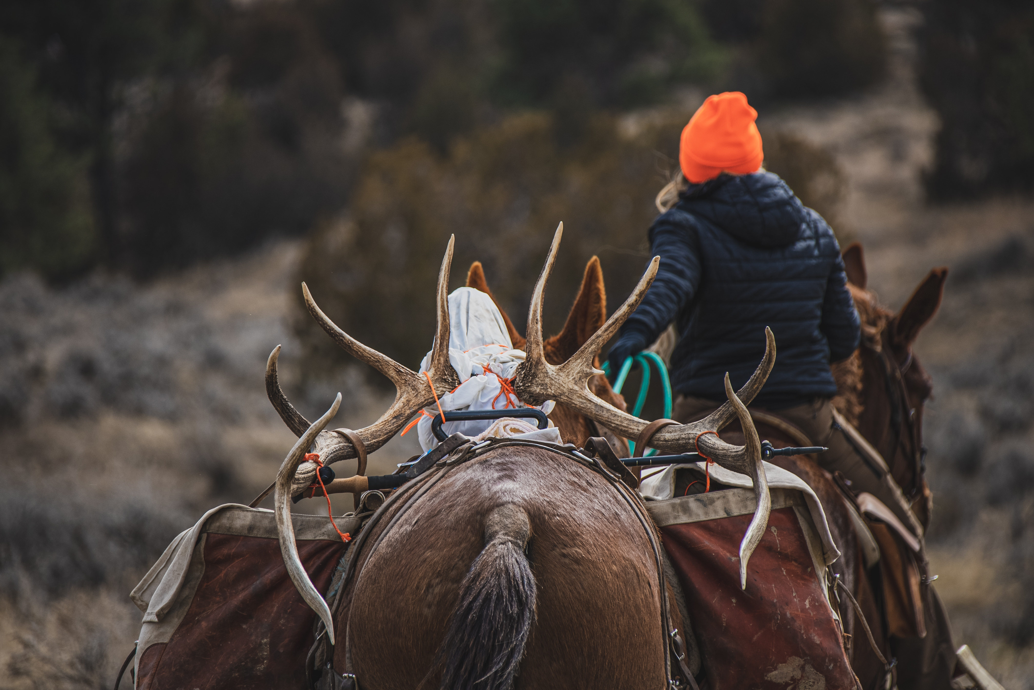 Packing Big Game - Part 2