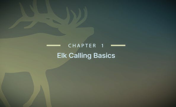 Module 9 - Chapter 1: Elk Calling Basics