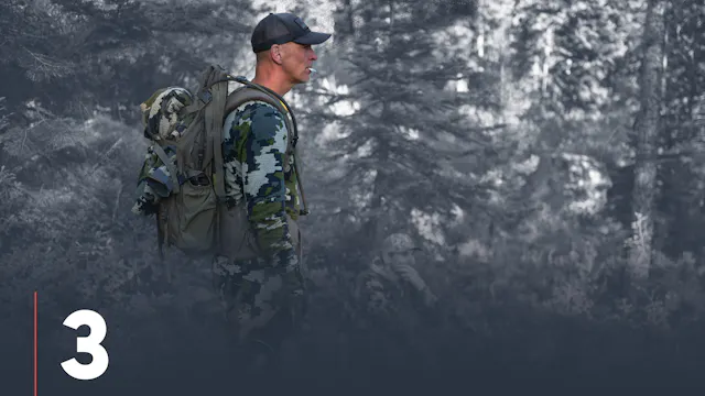 Elk Needs During the Rut