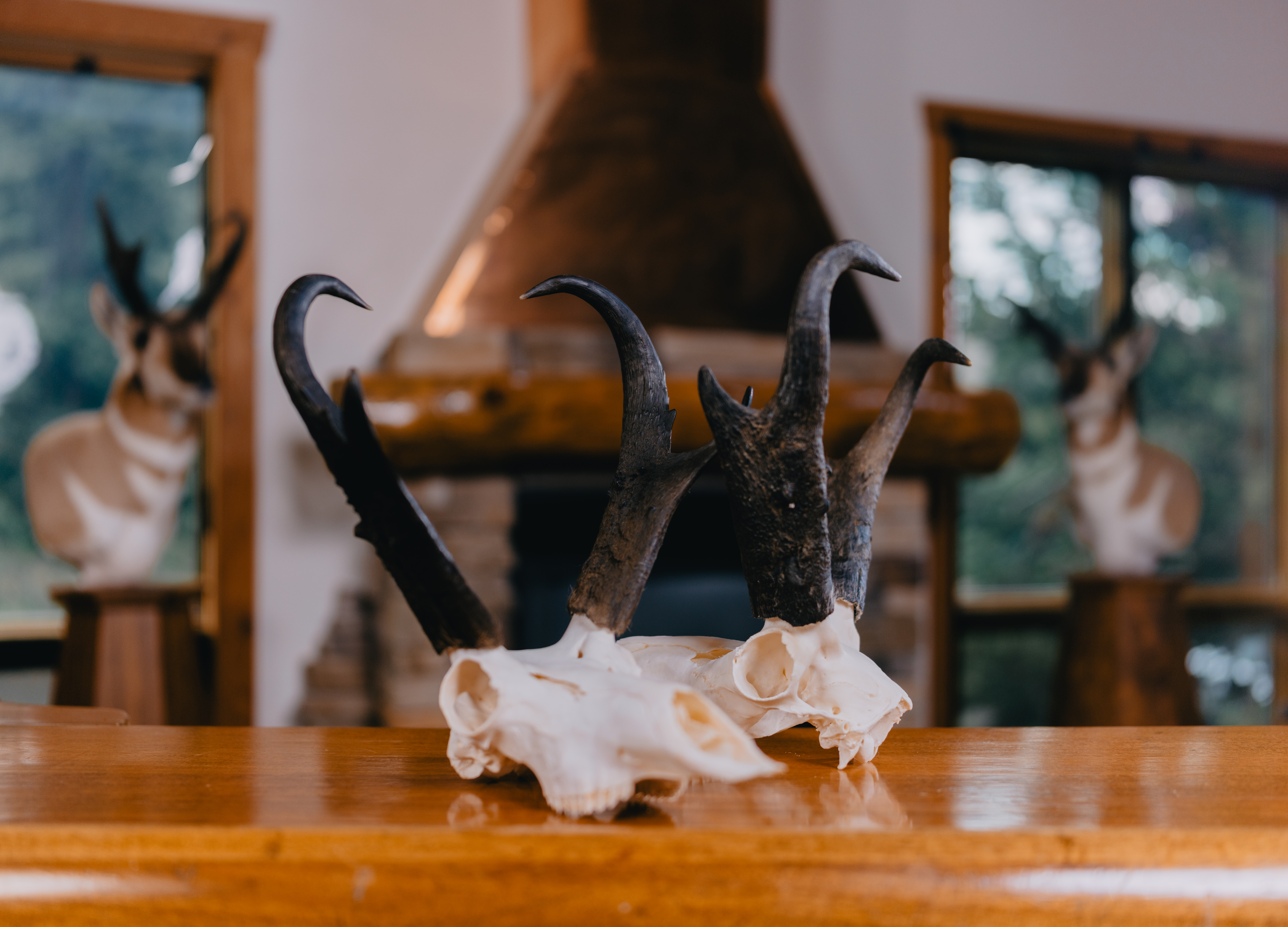 Ch. 13 - Tips for Pronghorn Antelope Hunting with Randy Newberg 